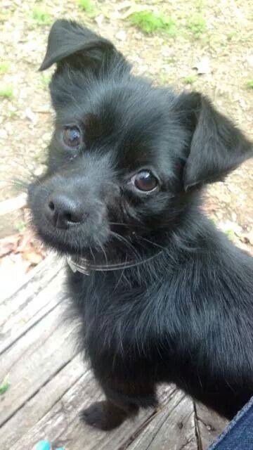 Rodney