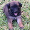 Diego