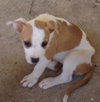 Lilly