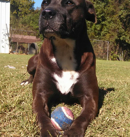 LORI - EXTREMELY URGENT!