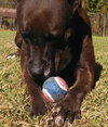 LORI - EXTREMELY URGENT!