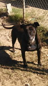 LORI - EXTREMELY URGENT!