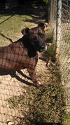 LORI - EXTREMELY URGENT!