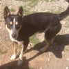 Skyler