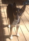 Skyler