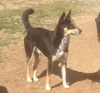 Skyler