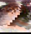 Della