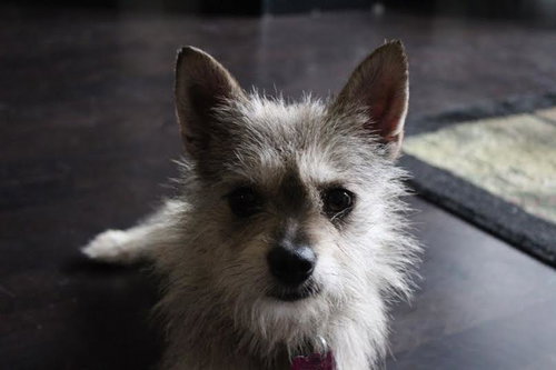 Luna - located in MA