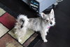 Luna - located in MA