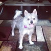 Luna - located in MA