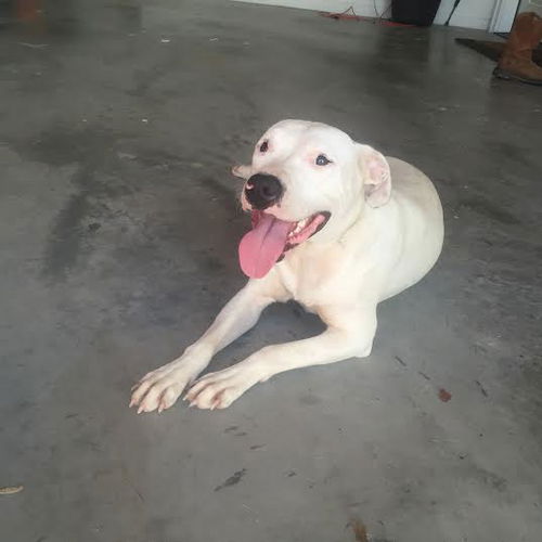 Sweetie - URGENT!