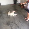 Sweetie - URGENT!