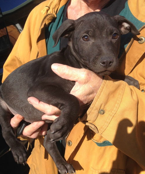 Levi- located in NY