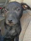 Levi- located in NY