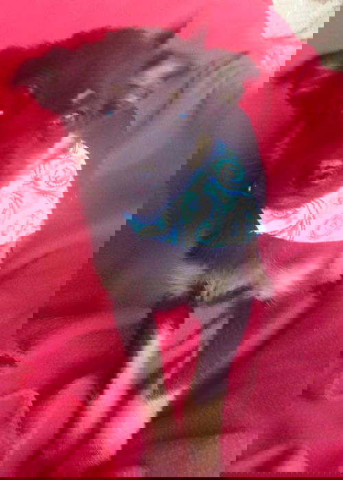 Ro