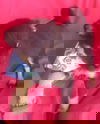 Ro