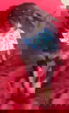 Ro