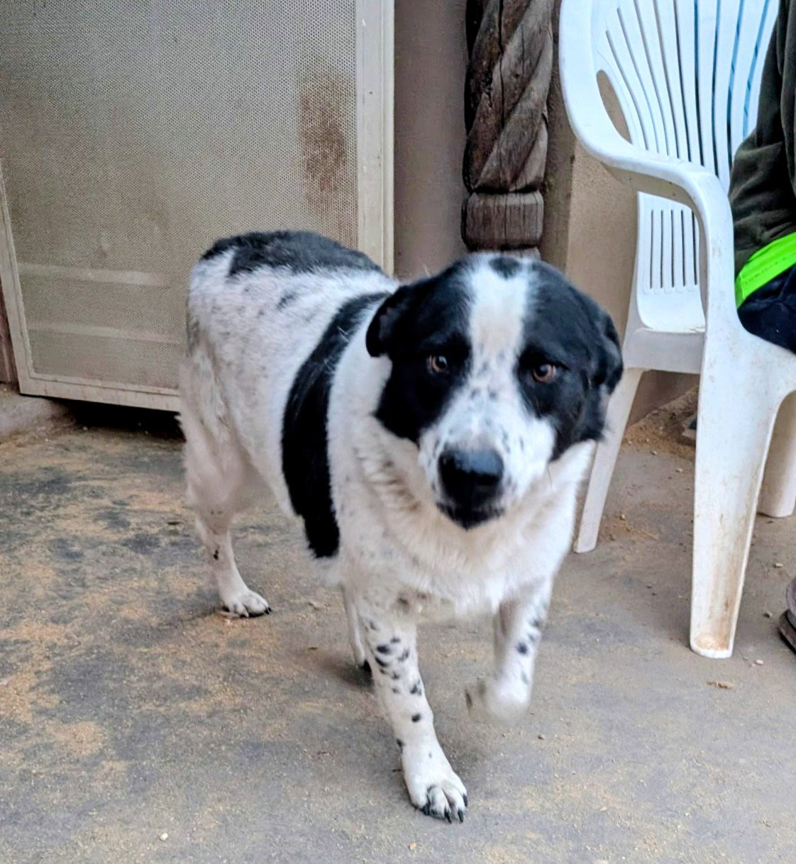 OREO