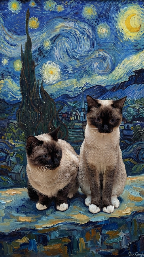 picture of the cat needing adoption