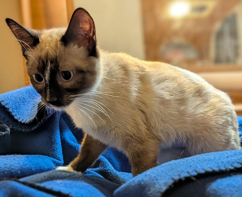 Evie photo 4