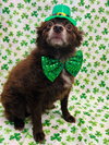 CoCo - Photo 3