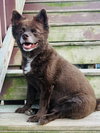 CoCo - Photo 4