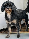 Tensley & Teddy - Photo 2