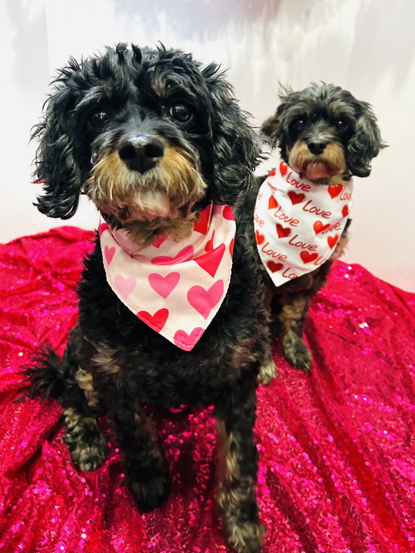 Tensley & Teddy