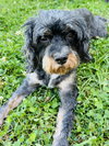 Tensley & Teddy - Photo 5