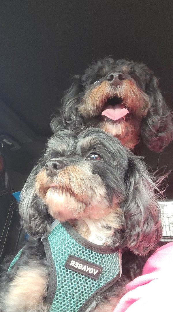 Tensley & Teddy