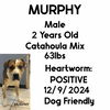 Murphy