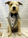 Dexter - Photo 1