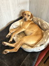 Happy - Photo 6