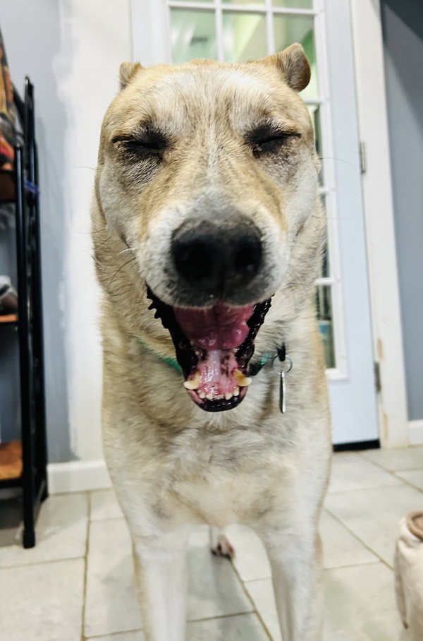 Kenai