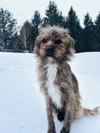 Mufasa - Photo 2