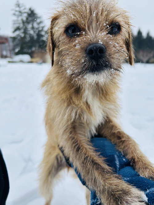 Photo 4 of Nala