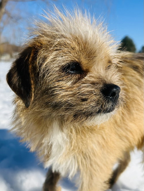 Photo 3 of Nala