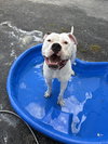 Chance - Photo 3
