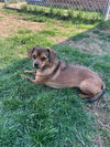 Squirt - Photo 2