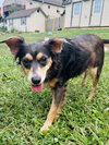 Daisey - Photo 3