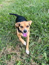 Puddin - Photo 5