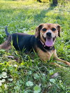 Puddin - Photo 4