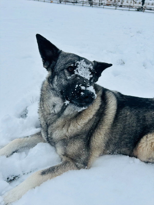 Bryn