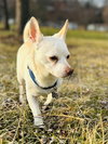 Casper and Tubbz - Photo 7