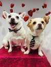Casper and Tubbz - Photo 1