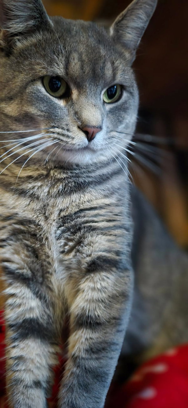 Jynx