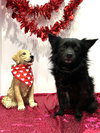Milton and Marvin - Photo 2