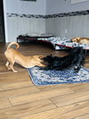 Milton and Marvin - Photo 5