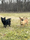 Milton and Marvin - Photo 7