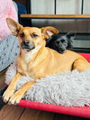 Milton and Marvin - Photo 3